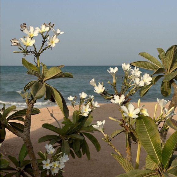 Mood - Picture 4 of 6